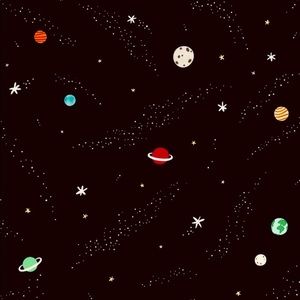 Meet your Posher, Joel